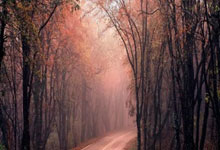 正规股票配资网站大全:股指配资股市有哪些股票-玉渊谭天：揭示美元50年来最大年中跌幅